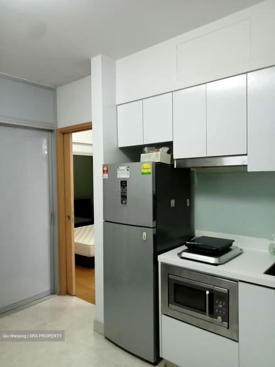 Eight Riversuites (D12), Condominium #599222781